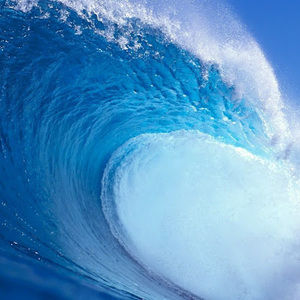 Meet your Posher, Kristina